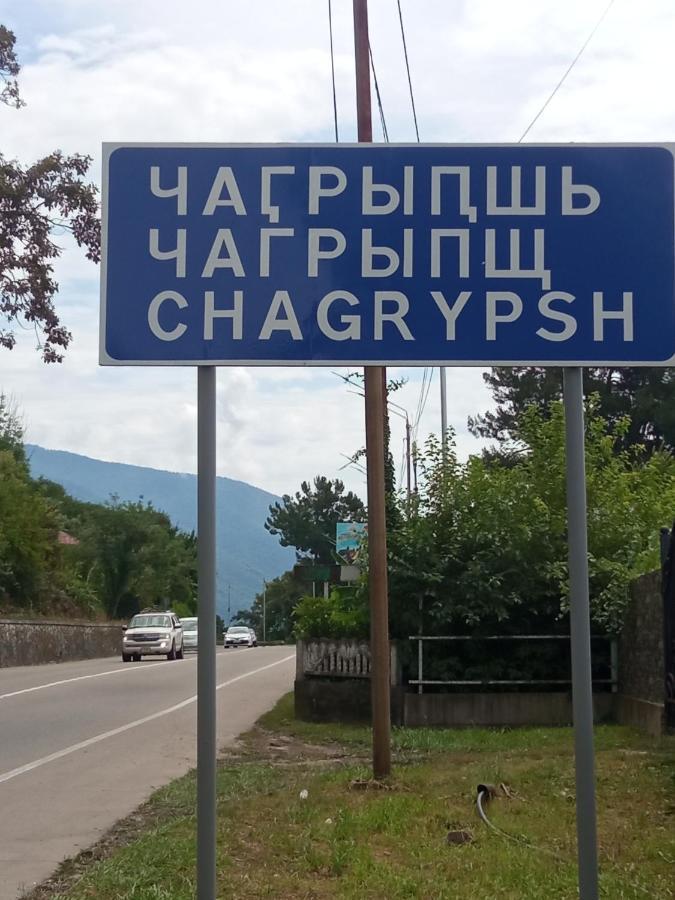 Гостевой Дом Мимоза ガグラ エクステリア 写真